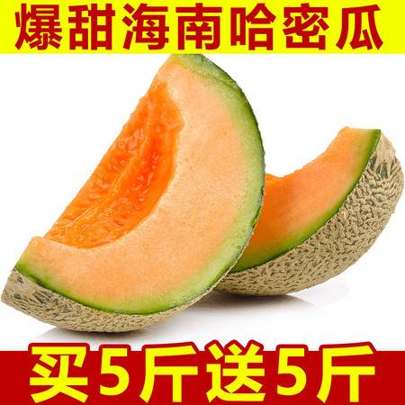 海南哈密瓜 現(xiàn)摘直發(fā)，甜蜜直達(dá)