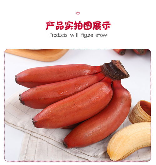 福建土樓特產(chǎn)——美人蕉紅香蕉 營(yíng)養(yǎng)與商機(jī)并蓄的新鮮水果佳品