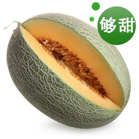 西域饋贈(zèng)，甜蜜當(dāng)季——新疆哈密瓜與西州蜜瓜批發(fā)指南